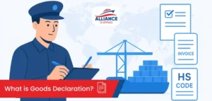 what is goods declaration