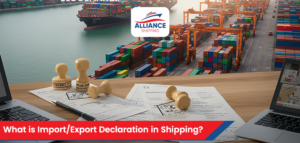 what is import export declaration