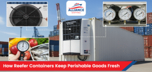 How Reefer Containers Keep Perishable Goods Fresh