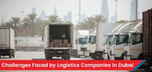 Logistics Companies in Dubai 