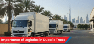 Importance of Logistics in Dubai